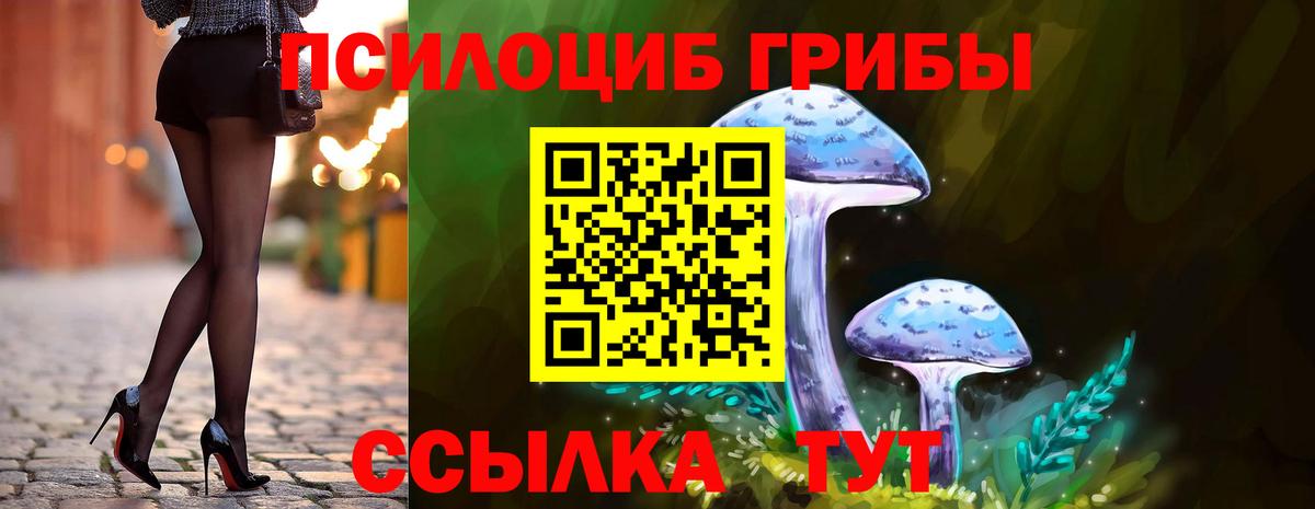 Псилоцибиновые грибы Magic Shrooms  Вход с VPN  Балашиха 